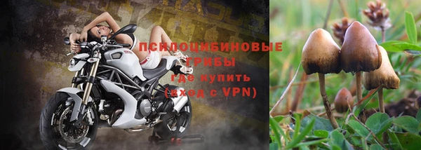 каннабис Верея