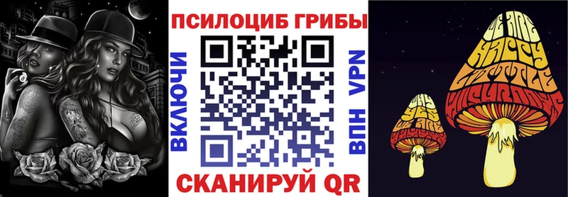 Псилоцибиновые грибы Psilocybe сайты даркнета наркотические препараты Ипатово